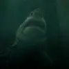 eug - @eugenie_.earlwindsor - TikTok