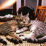 Earl & Winnie - @earlandwinnie - Instagram