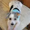 earlenekworkman - @ekworkman - TikTok