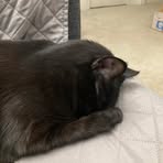 Earl Wu - Facebook