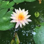 楊一青 - @earl.yang - Instagram