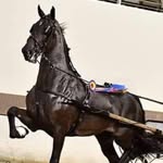 Earl Yoder - @yoder.earl - Instagram