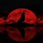 Earl Black Eagle Cox - @earl2082 - Instagram