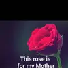 Earl Collins - @earl.collins34 - TikTok