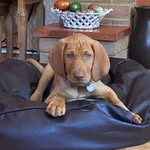 Earl Cooper - @earl_cooper_kumar - Instagram