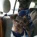 Earle C Davis Primary - Facebook