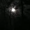 Earl Ford - @darkmode738 - TikTok