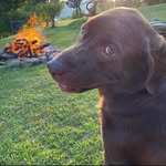 Earle Gray - @fun__enjoyer - Instagram