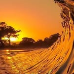 Earle Wayne Green - @earlewaynegreen - Instagram