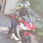 @earle_page - Instagram