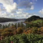 Penny Earle - @earle_penny - Instagram