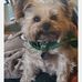 Earle Robinson - Facebook
