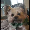 earlerobinson785 - @earlerobinson785 - TikTok