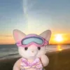 earlene - @earrrlene - TikTok