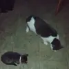 Erlene Cook - @erlene.cook - TikTok