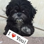 Earlene Crocker - Facebook