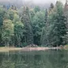 earlenedayne529 - @earlenedayne529 - TikTok