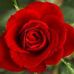 Earlene Dean - Facebook