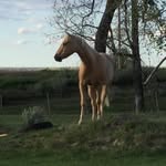Earlene Dempsey - @earlenelarry - Instagram