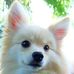 Earle Dennis - Facebook
