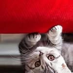Earlene G. Dolan - @earlenegdolan40 - Instagram