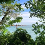 Arlene Dutton - @arlenedutton52 - Instagram
