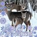 Earlene Dyer Lawrence - Facebook