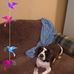 Earlene Fields - Facebook
