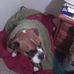 Earlene Grissom - Facebook