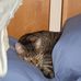 Arlene Hahn - Facebook