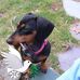 Earlene Hamilton - Facebook
