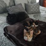Earlene Harrington - @earlene.harrington.3 - Instagram