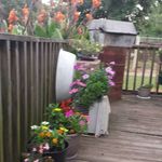 Earline Hill - @earline.hill.58 - Instagram