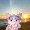 earlene - @earrrlene - TikTok