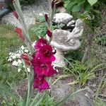 Judy Earlene Parrish - @judy.e.parrish - Instagram