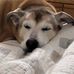 Earlene Kennedy Masiello - Facebook