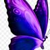 Earlene Kerns - Facebook