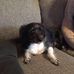 Arlene Leach - Facebook