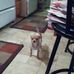 Arlene Leach - Facebook