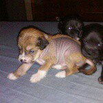 Earlene Lynn Waugaman - @earlenewaugaman - Instagram