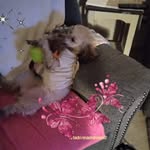 Earlene McKendree - @earlenemckendree - Instagram