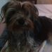 Earlene Nelson - Facebook