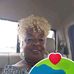 Earlene J Patrick - Facebook