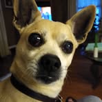 Earlene Pugh - Facebook