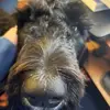 Arlen - @arlenrandall - TikTok