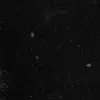 earleeriser - @earleeriser317 - TikTok