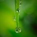 Arlene Ritchie - Facebook