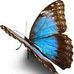 Earlene Scott - Facebook