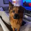 Earnest Tubbs - @earnest.tubbs - TikTok