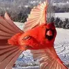Earl Earlton - @earlearlton - TikTok